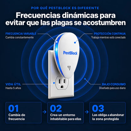 Frecuencias dinamicas final webp.webp