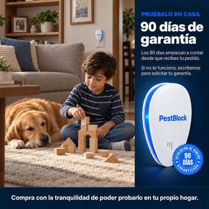 Niño perro garantia webp.webp