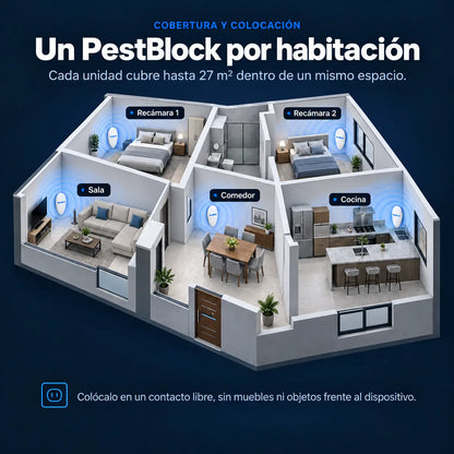 colocacion webp.webp